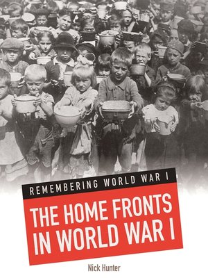 cover image of The Home Fronts In World War I